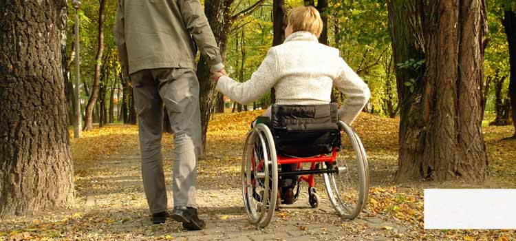 Vea una mujer joven en silla de ruedas. Tiene la mano de su compañero. Se pasean juntos por el bosque otoñal.